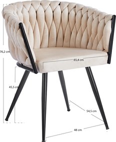 Widny Zwart Fluwelen Stoel