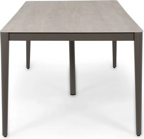 Dining Tuintafel  280x100 cm Taupe Livo