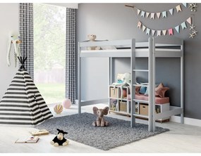 Kinderen Grijs Hoogslaper - Bobby Voor Kinderen Kinderen Junioren 5059914014004 Children's Beds Home, 160x80, Geen Children's Beds Home Dennenhout