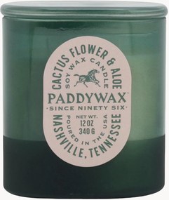 3-lonts geurkaars Vista (cactusbloem & aloë)