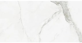 Cifre Ceramica Statuario wand- en vloertegel - 60x120cm - 10mm - Vierkant - gerectificeerd - Marmerlook - Wit/zwart glans SW07310847