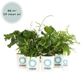 Ogreen Animal Friendly