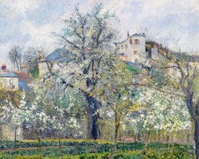 Camille Pissarro - Kunstdruk The Vegetable Garden with Trees in Blossom, Spring, Pontoise, (40 x 30 cm)