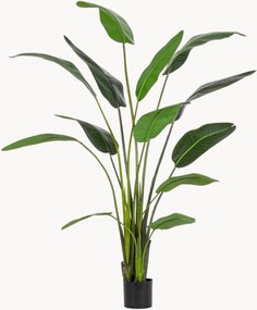 XL kunstplant Sterilizia