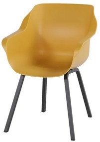 Set van 4 - Hartman Sophie Element dining armstoel - Curry yellow