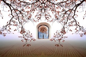 Foto Tree of life, Christina Sillen