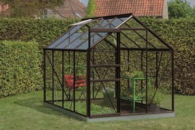 ACD IntroGrow Ivy serre - 1,93 x 2,57m - Zwart