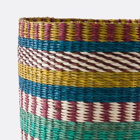 Veelkleurige mand in herbarium, Balia