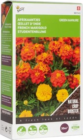 Buzzy® Groenbemester - Afrikaantjes - 50g
