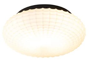 Buitenlamp Klassieke plafondlamp zwart met opaal glas 23 cm IP44 - Nohmi Klassiek / Antiek E27 IP44 Buitenverlichting rond Lamp