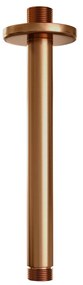 Brauer Stripe inbouw regendouche rond met 25cm hoofddouche, rond met plafondarm, glijstang en staafhanddouche set 45 koper geborsteld PVD