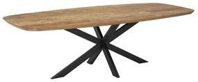 DTP Home Evo Deens Ovale Eettafel Teak 260 Cm - 260 X 110cm.