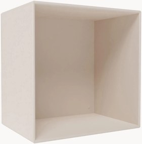 Module Mini 1001
