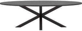 Goossens Eettafel Stone, Ovaal 250 x 120 cm