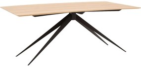 Goossens Excellent Eettafel Uniek, Rechthoekig 180 x 100 cm