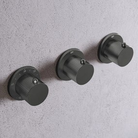 Saniclear Plus Curved inbouw badkraan met vrijstaande uitloop verouderd ijzer - gunmetal