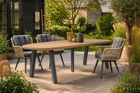 Dining Tuintafel rechthoekig 300 x 100 cm antracite Grijs Falcon/Glasgow