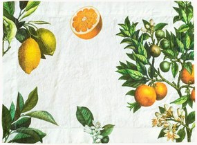 Placemats Citruses van linnen, set van 2