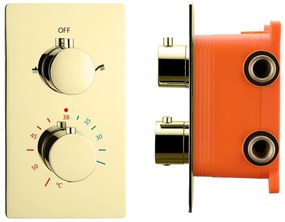 Best Design Nancy 2-weg inbouw thermostaat met inbouwbox mat goud