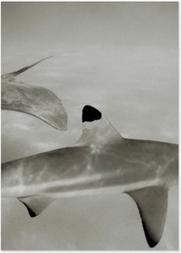 Digitale print Abyssal