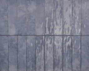 DTG Lord wandtegel 7.5x30cm blauw