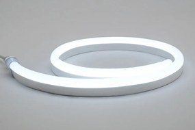 LED Neon Flex 24V, Koel Wit, 1 Meter, 8 Watt/meter, Waterdicht IP67, Extra Small