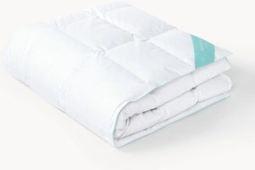 Puur donzen dekbed Premium, licht