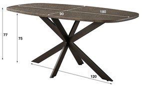 Ovale Eettafel Met Brons Blad 215cm - 180 X 95cm.