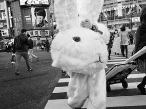 Foto Untitled, Tatsuo Suzuki
