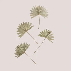 Verpakking Van 4 Urpek Decoratieve Gedroogde Takken Bamboe Groen - Sklum