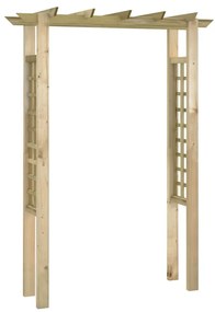 vidaXL Rozenboog 150x60x204 cm geïmpregneerd hout