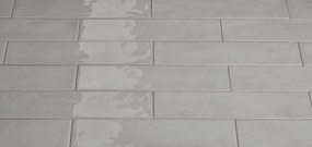 DTG Nissel wandtegel 7.5x30cm wit
