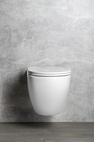 Sapho Infinity toiletpot randloos met softclose zitting wit