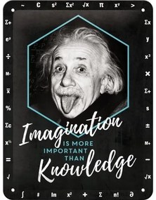 Metalen wandbord Einstein Imagination & Knowledge, (15 x 20 cm)