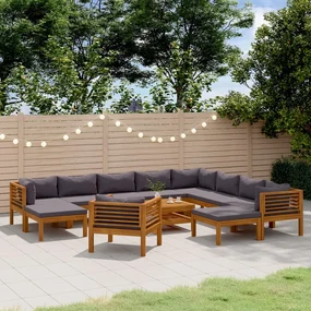 vidaXL 12-delige Loungeset met kussens massief acaciahout