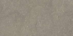 Jabo Munich Taupe wandtegel 25x50cm