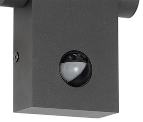Buitenwandlamp antraciet incl. LED IP54 met bewegingssensor - Zane