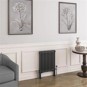 Eastbrook Imperia 2 koloms radiator 50x60cm 704W antraciet