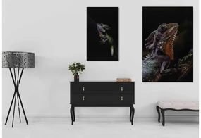 Goossens Schilderij The Colours, 70 x 118 cm
