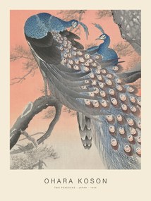 Kunstdruk Two Peacocks (Special Edition) - Ohara Koson copy, (30 x 40 cm)