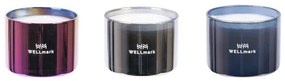 Wellmark Brave Collection Giftbox - 3x geurkaars klein - metallic purple silver grey 8720938454257