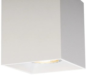 Smart Spot / Opbouwspot / Plafondspot wit incl. wifi GU10 - Qubo 1 Modern GU10 kubus / vierkant Binnenverlichting Lamp