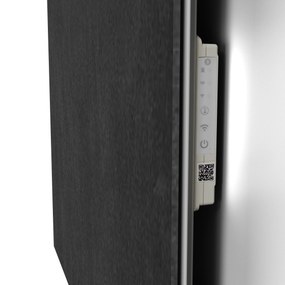 Ecosun GS500 glazen infraroodpaneel met WiFi 40x120cm zwart 500W