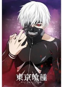Posters Multicolour Tokyo Ghoul  TA6069