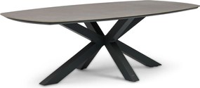 Dining Tuintafel rechthoekig 240 x 120 cm Grijs Voyage