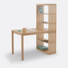Omkeerbaar bureau boekenkast, Theonie