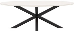 Goossens Eettafel Stone, Ovaal 220 x 120 cm