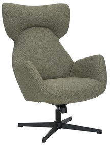 Kantelbare Fauteuil Groen
