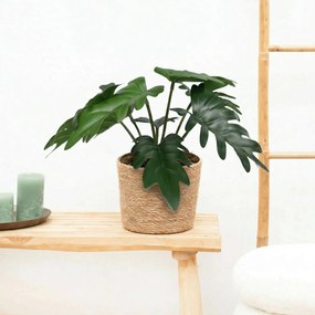 Kunst Philodendron Xanadu - 20cm