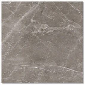 Vloertegel 60x60 Cm Marmerlook Ferrolbosco Bruin R71